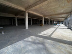 photo_low235833