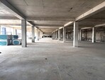 photo_low235888