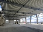 photo_low235894