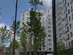 photo_low244065