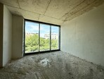photo_low216873