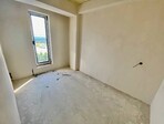 photo_low218679