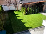 photo_low223485