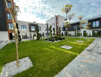 photo_low241766
