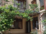 photo_low243056