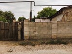 photo_low230366