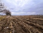 photo_low233856