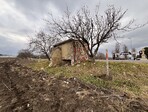 photo_low233858