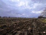 photo_low233857
