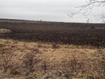 photo_low235298