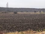 photo_low235299