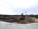 photo_low235301