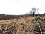photo_low235302
