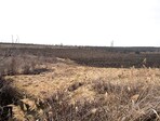 photo_low235303