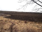 photo_low235304