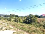 photo_low242064